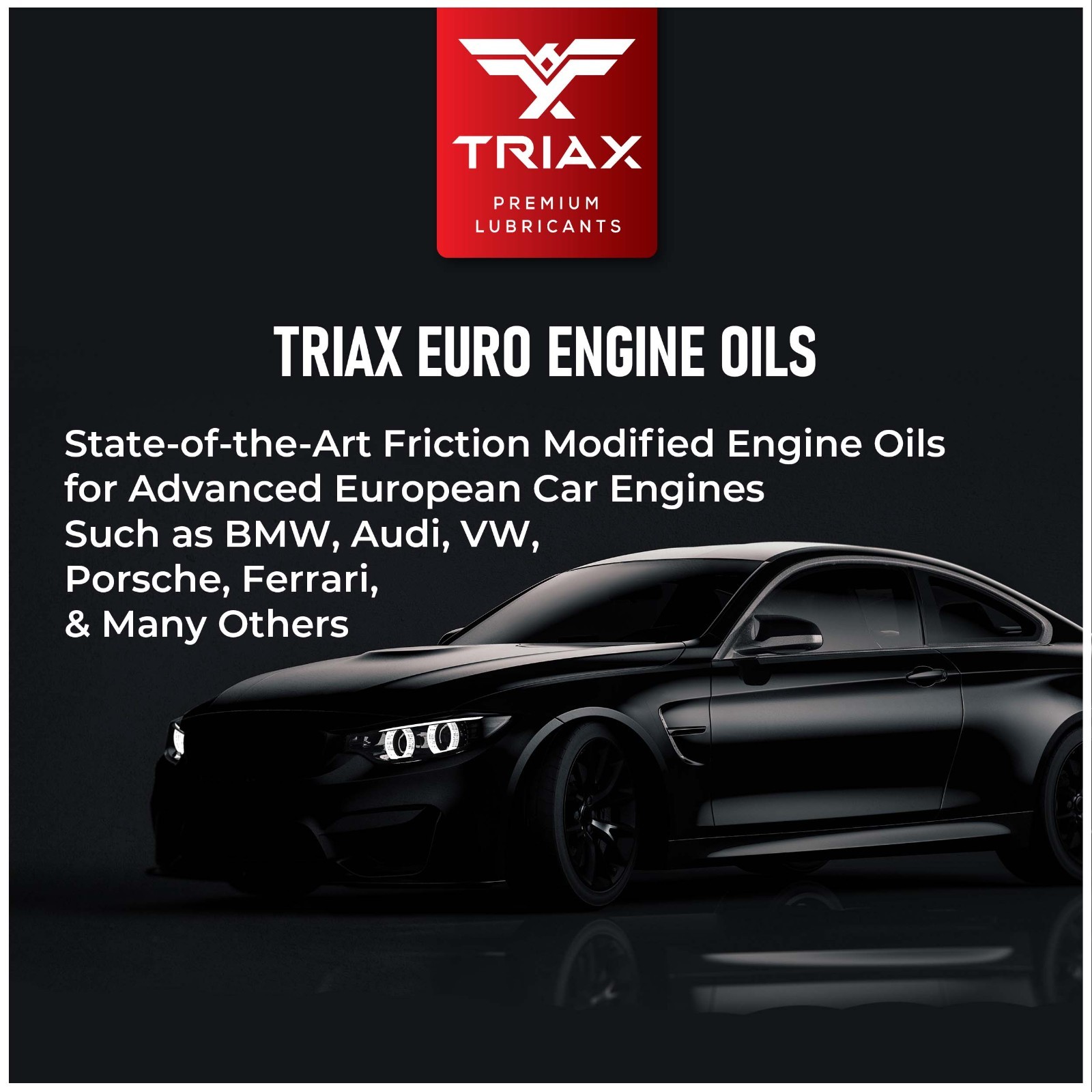 TRIAX Euro VX 5W-30 Full Synthetic European Car Engine Oil (5 Gallon)