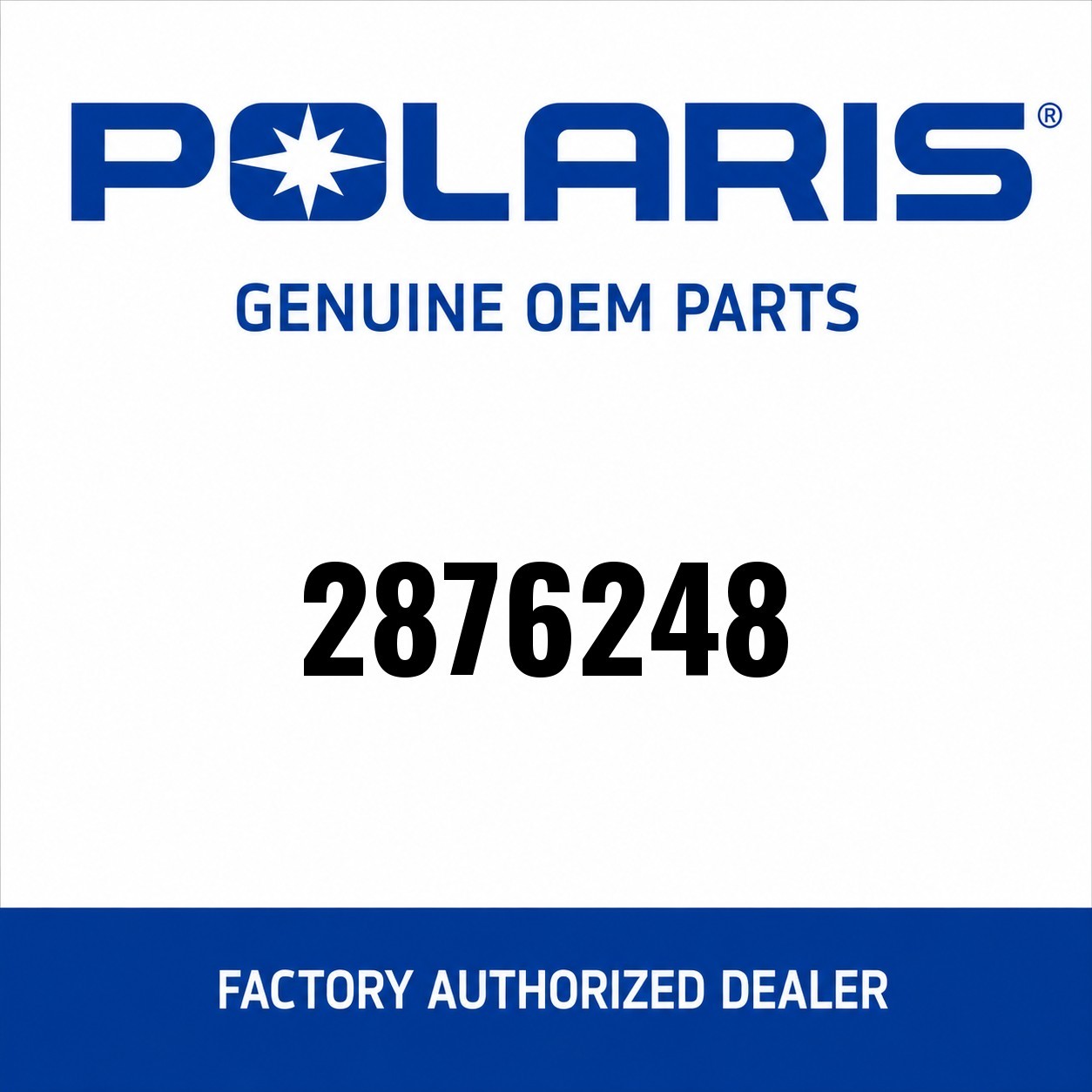 Polaris 2876248 Synthetic 4-Stroke Youth Oil SAE 40 12QT