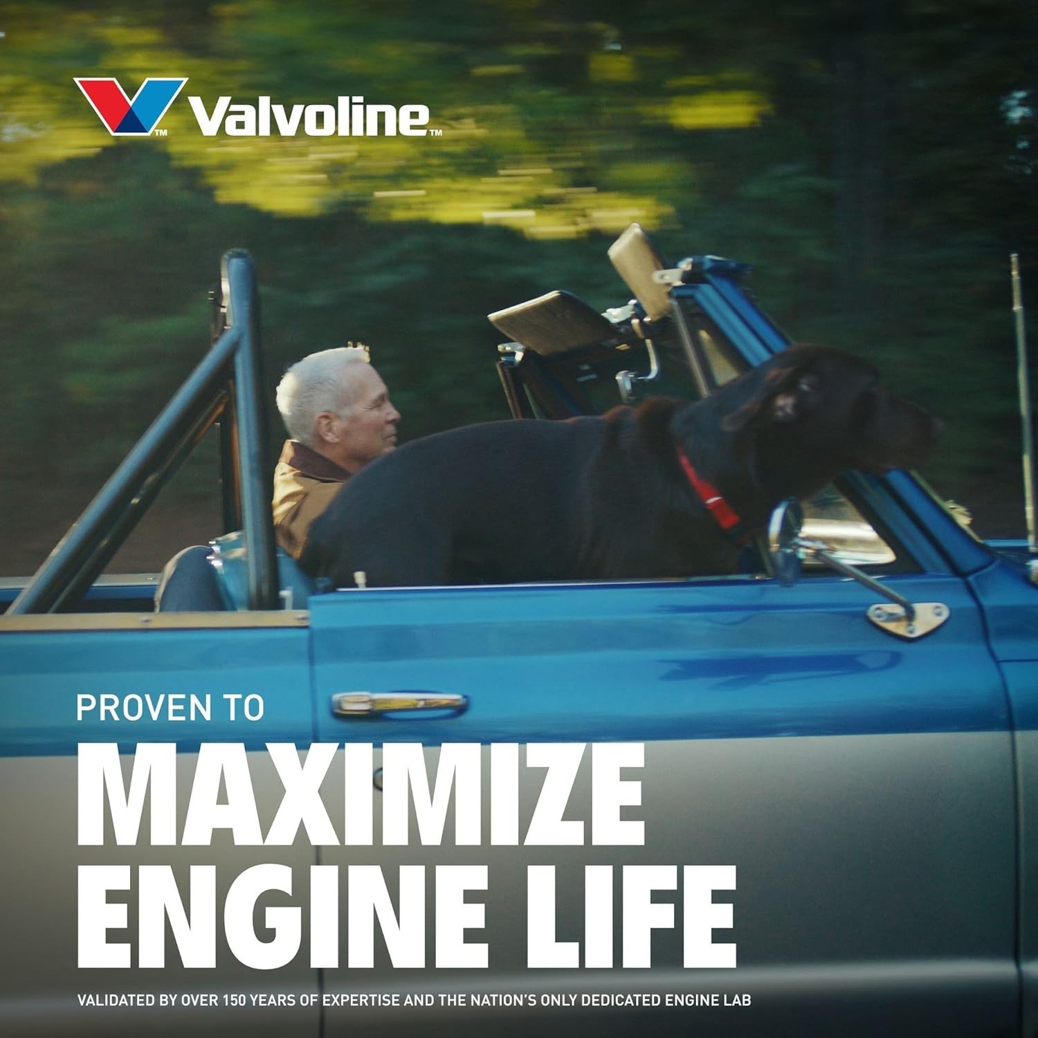 MaxLife Technology 10W-40 Engine Oil, 5 QT Bottle for High Mileage Cars