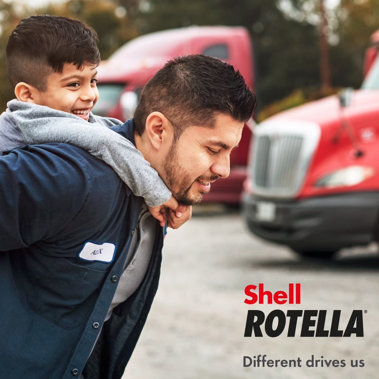 Shell Rotella T1 SAE 30 Straight Grade Heavy Duty Diesel Engine Oil 1 Quart