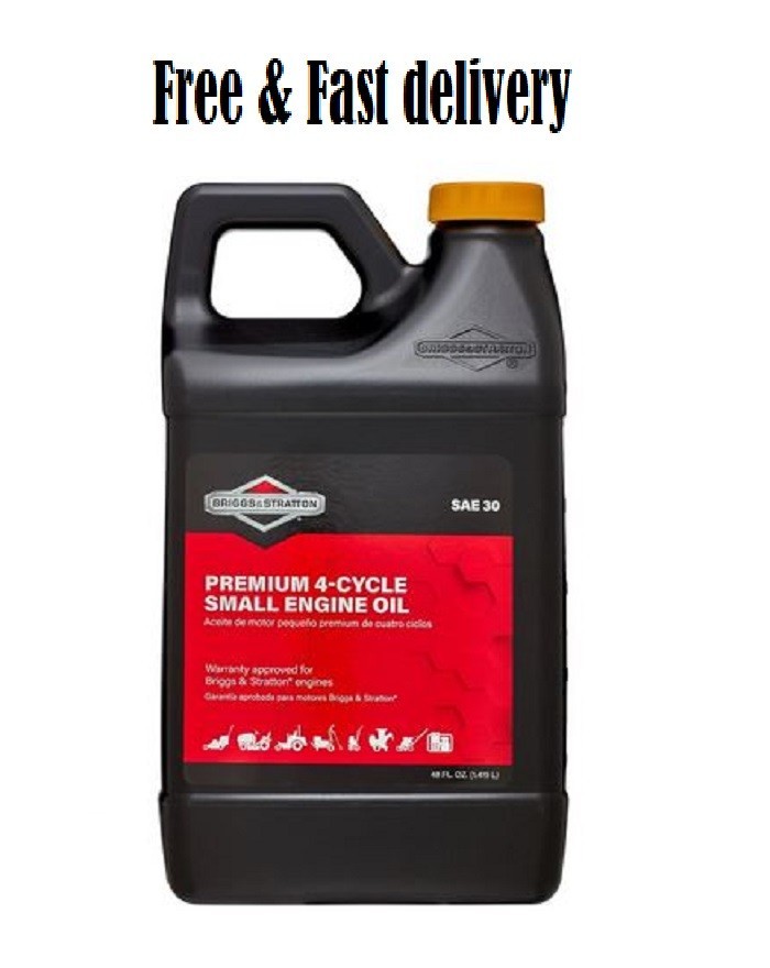 Briggs & Stratton 4-Cycle 48 oz Oil SAE-30 for Small Engines
