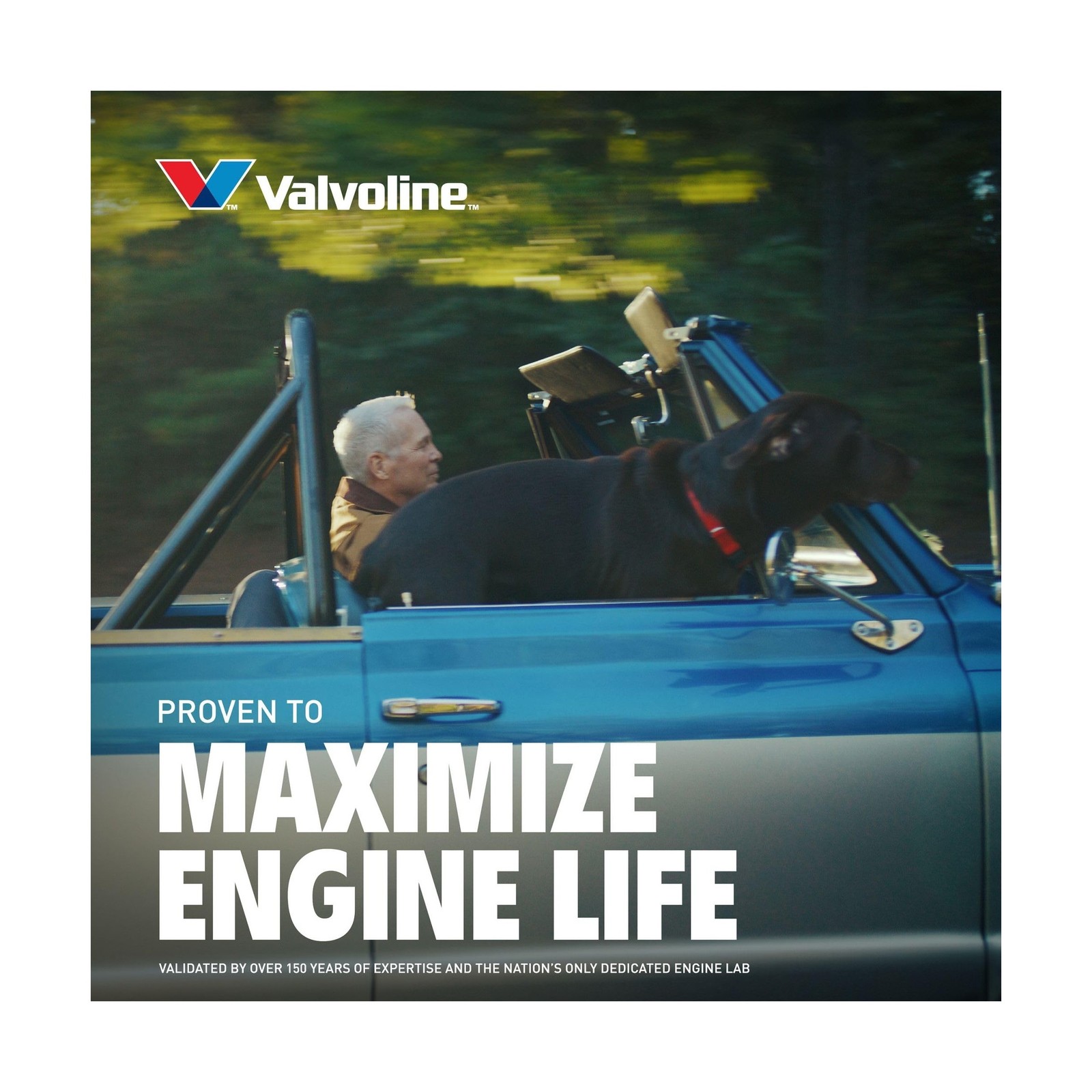 Valvoline High Mileage with MaxLife Technology SAE 5W-30 Synthetic Blend Moto…